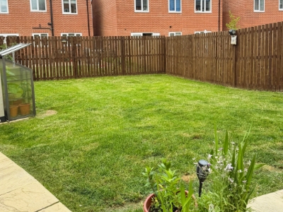 Picture 16